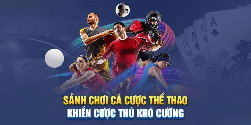 Ưu điểm sảnh cược thể thao 8XBET thu hút hội viên