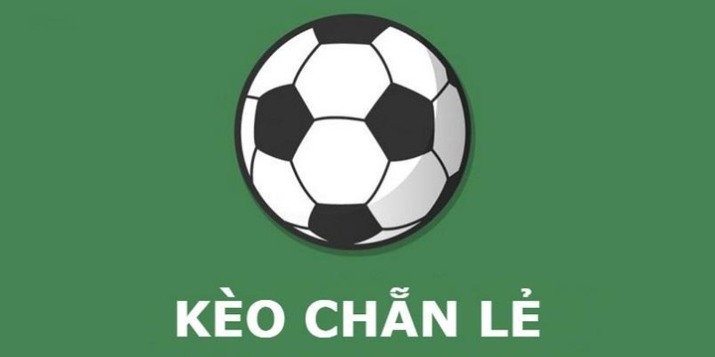 Kèo nhà cái 8XBET theo dạng chẵn lẻ thú vị, đơn giản