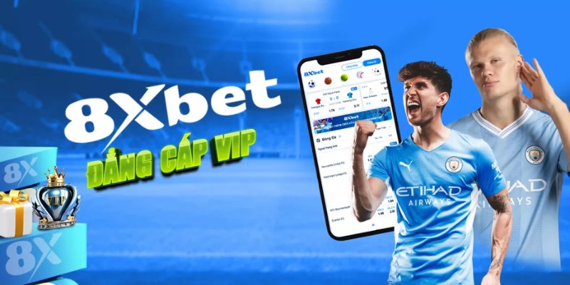 Câu hỏi chuyên gia chia sẻ và giải đáp khi tải app 8XBET