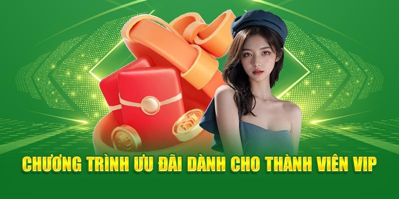 Nội dung ưu đãi SVIP 8XBET mới nhất cho bạn